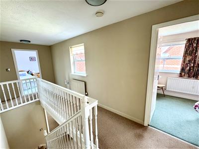 Picture 13